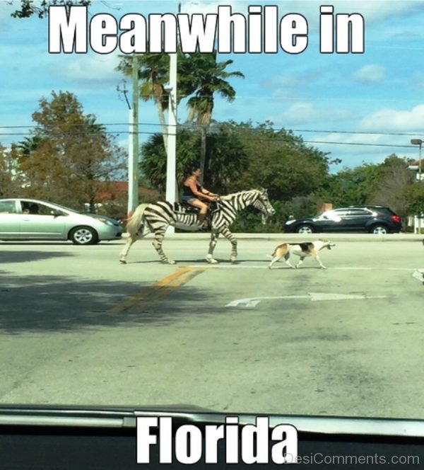 Meanwhile In Florida