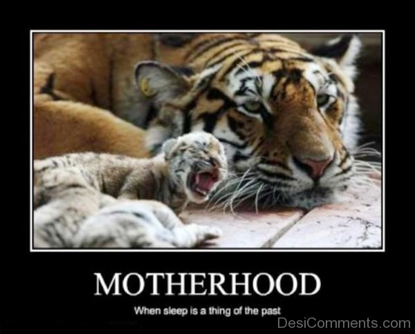 Motherhood When Sleep Is A Thing
