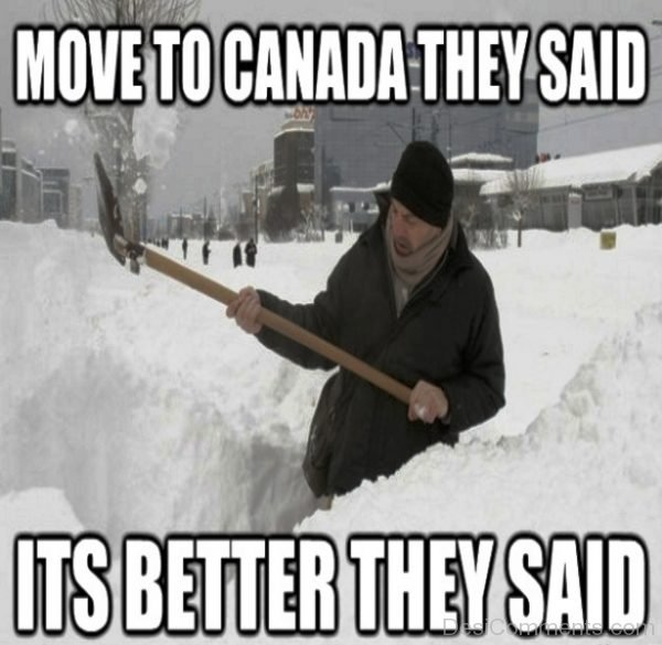 Move To Canada They Said