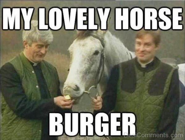 My Lovely Horse Burger