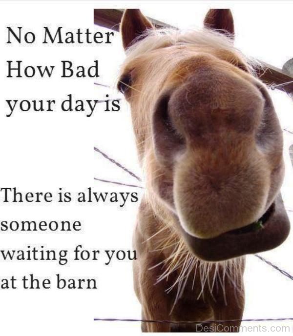 No Matter How Bad Your Day Is