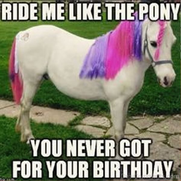 Ride Me Like The Pony