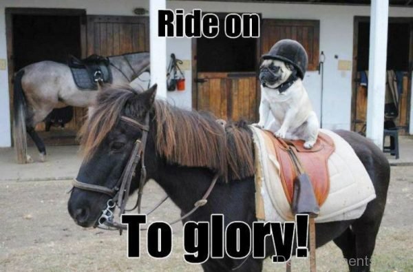 Ride On To Glory