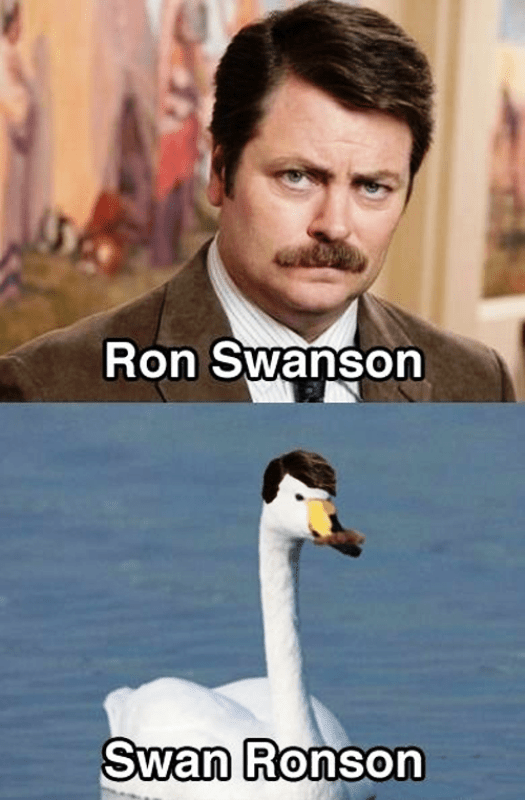 Ron Swanson Vs Swan Ronson