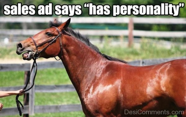 Sales Ad Says Has Personality