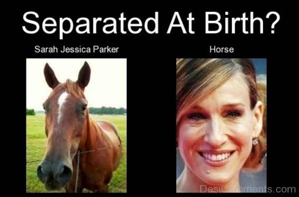 Separated At Birth