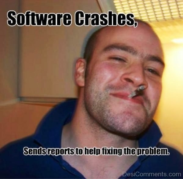 Software Crashes