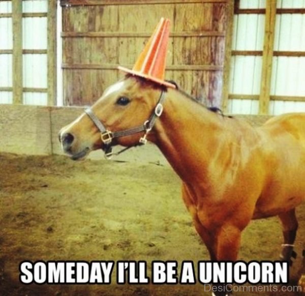 Someday Ill Be A Unicorn