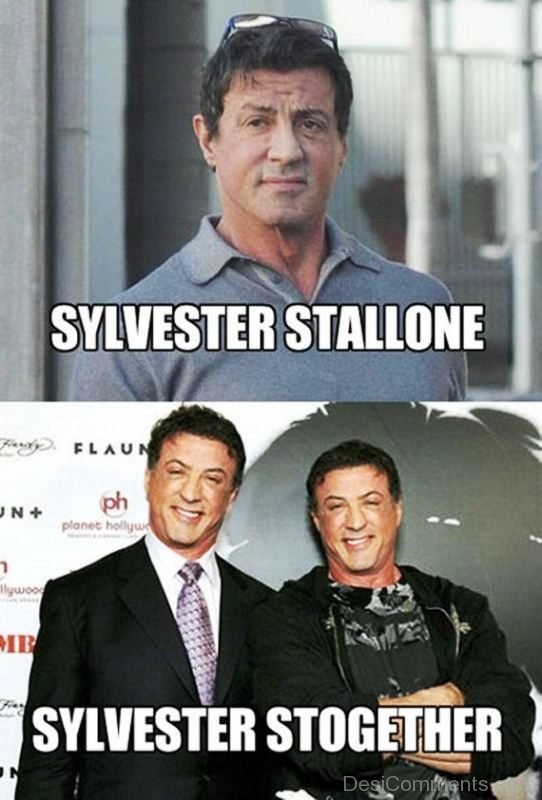 Sylvester Stallone Vs Sylvester Stogether
