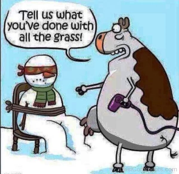 Tell Us What You ve Done With All The Grass