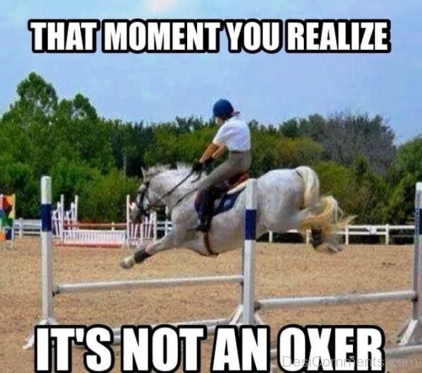That Moment You Realize Its Not An Oxer