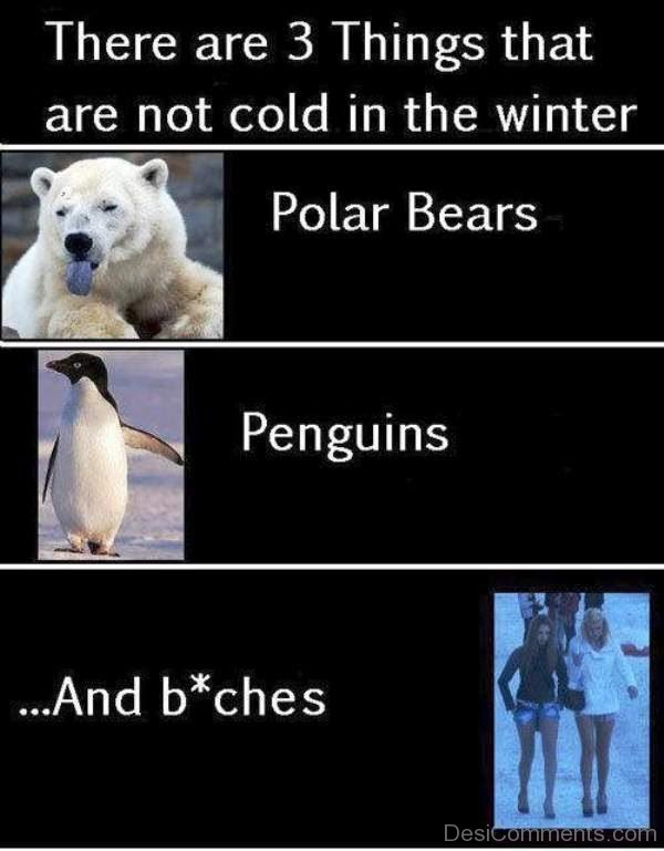 There Are 3 Things That Are Not Cold