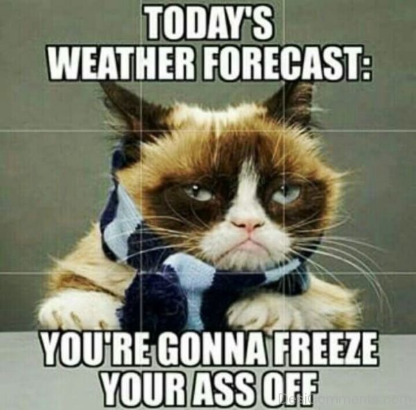 Todays Weather Forecast