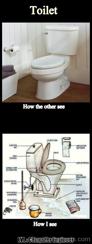 Toilet How The Other See