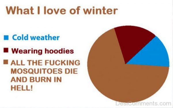 What I Love Of Winter