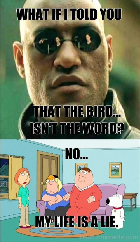 What If I Told You That The Bird