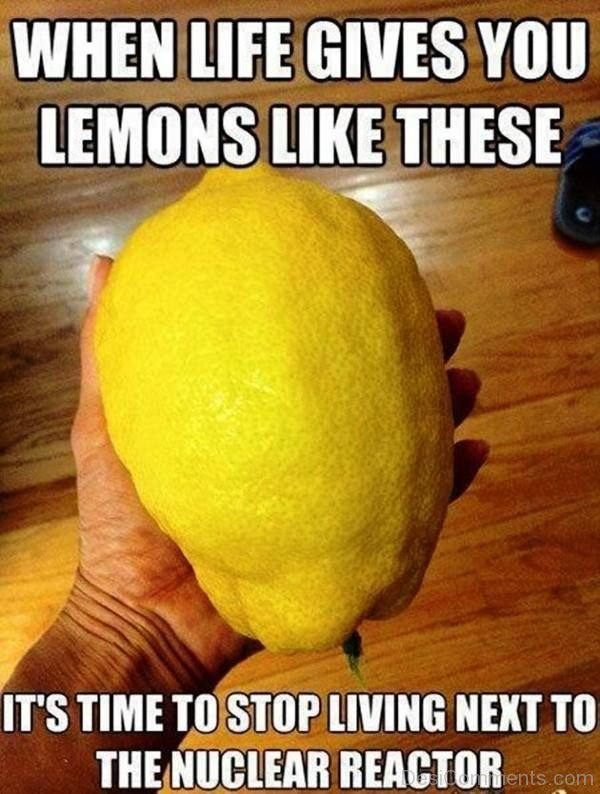 When Life Gives You Lemons