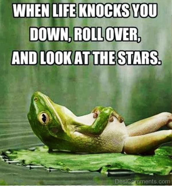 When Life Knocks You