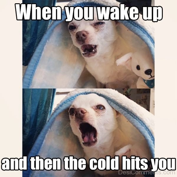 When You Wake Up
