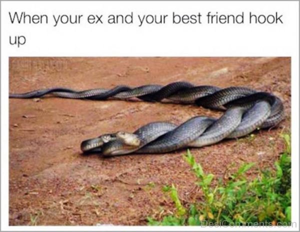 When Your Ex And Your Best Friend Hook Up
