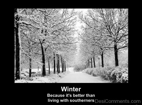 Winter Because Its Better Than Living