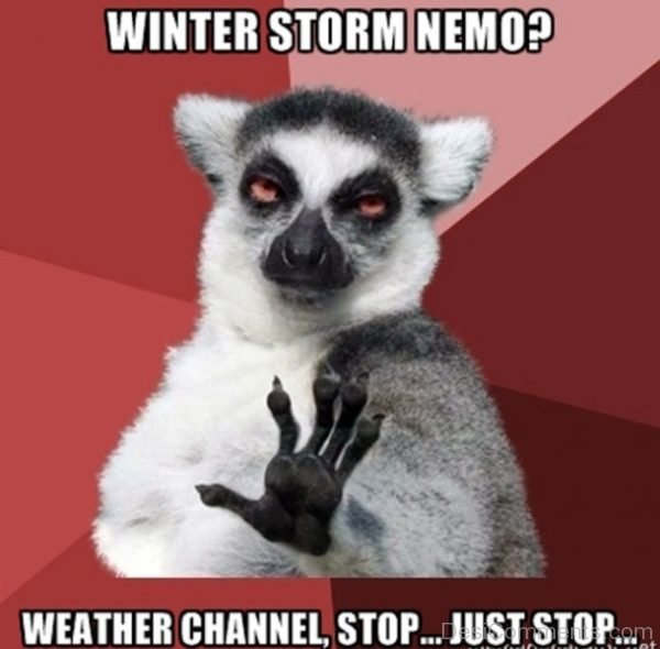 Winter Storm Nemo