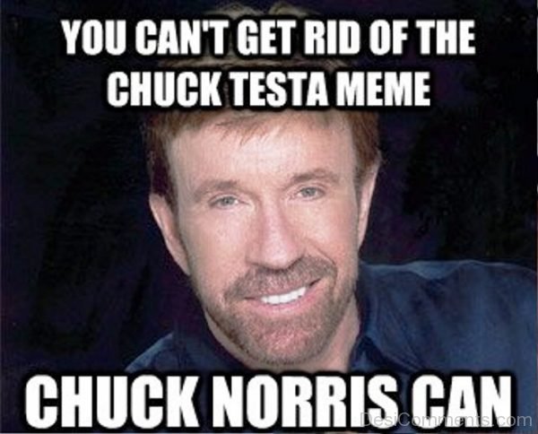 You Cant Get Rid Of The Chuck Testa Meme