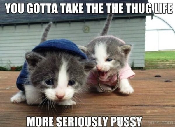 You Gotta Take The Thug Life