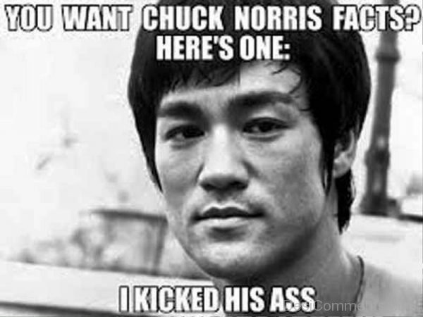 You Want Chuck Norris Facts