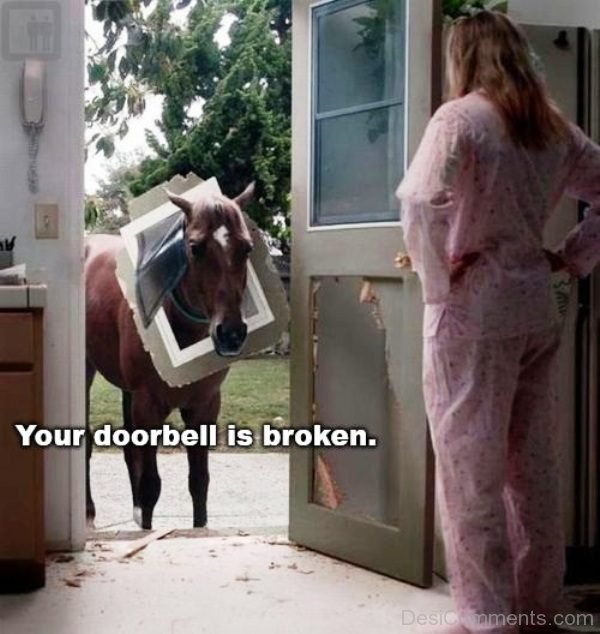 Your Doorbell Is Broken