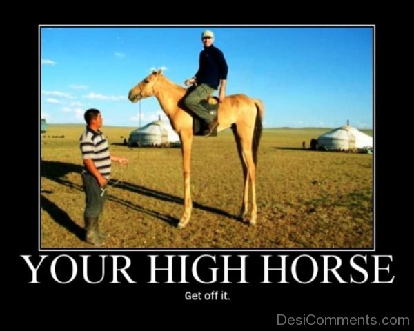 Your High Horse