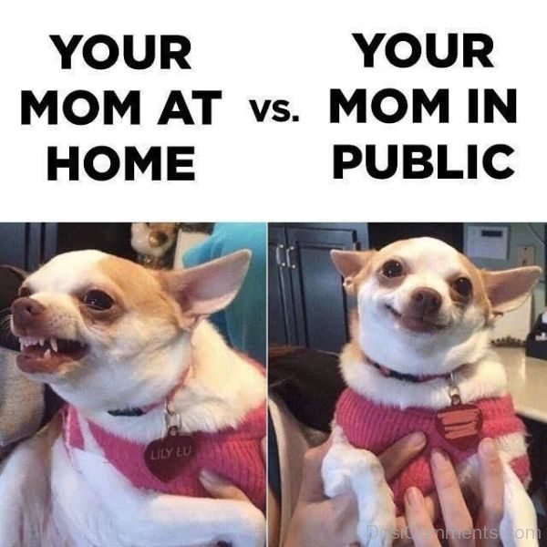 Your Mom At Home Vs In Public