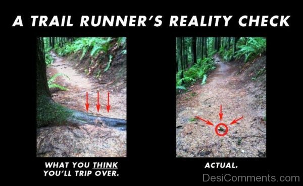 A Trail Runners Reality Check