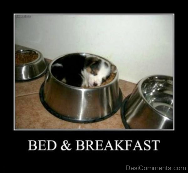 Bed And Breakfast