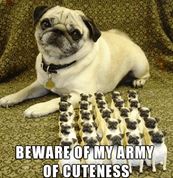 Beware Of My Army Of Cuteness