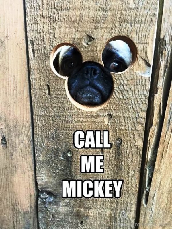 Call Me Mickey