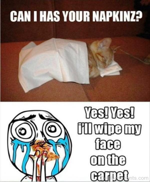 Can I Has Your Napkinz