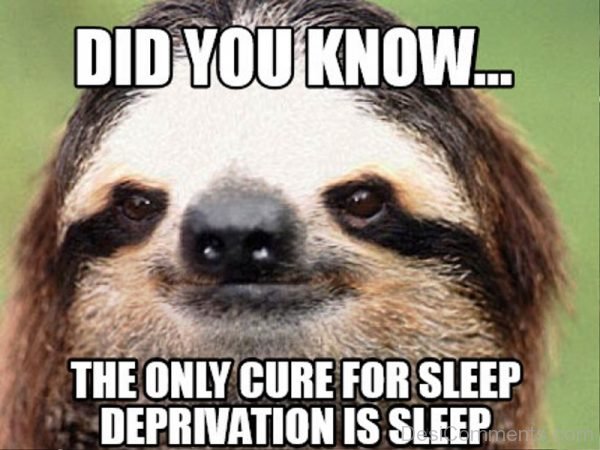 Did You Know The Only Cyre For Sleep