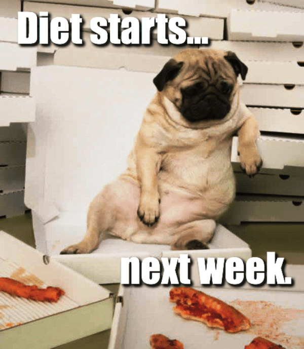 Diet Starts Next Week