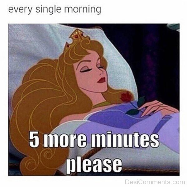 Every Single Morning