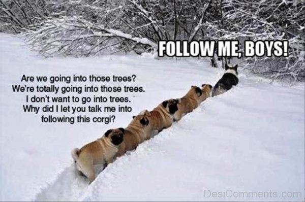 Follow Me Boys