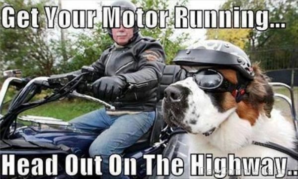 Get Your Motor Running