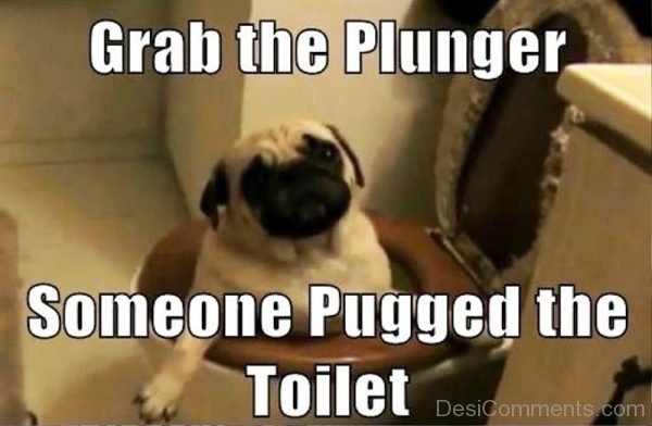 Grab The Plunger