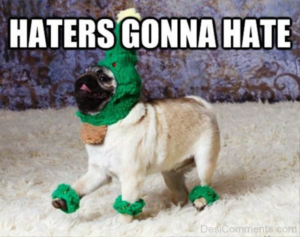 Haters Gonna Hate