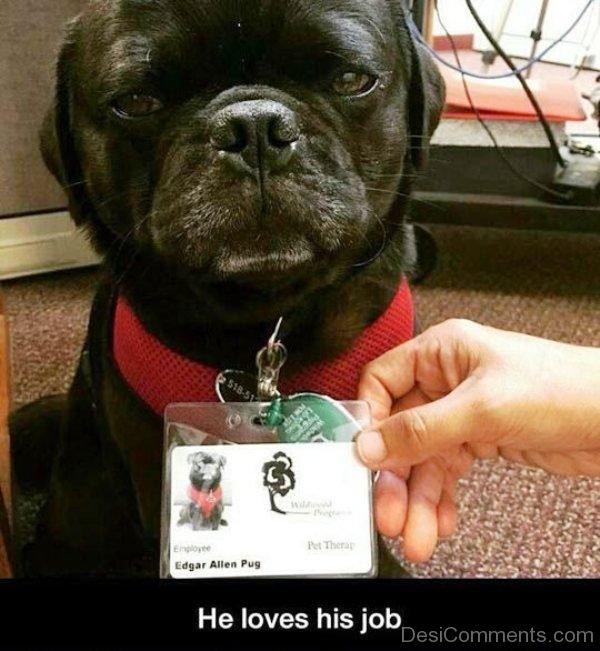 He Loves His Job