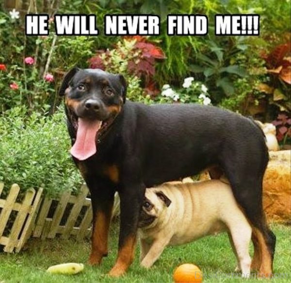 He Will Nevr Find Me