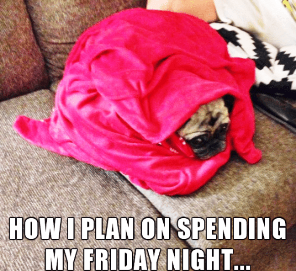 How I Plan On Spending My Friday Night