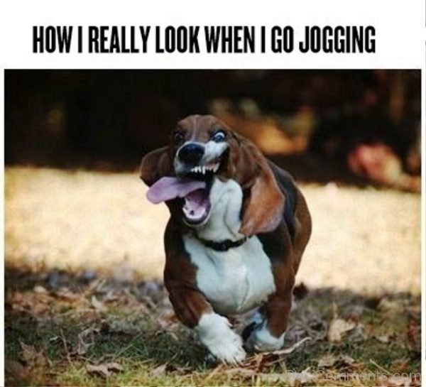 How I Really Look When I Go Jogging