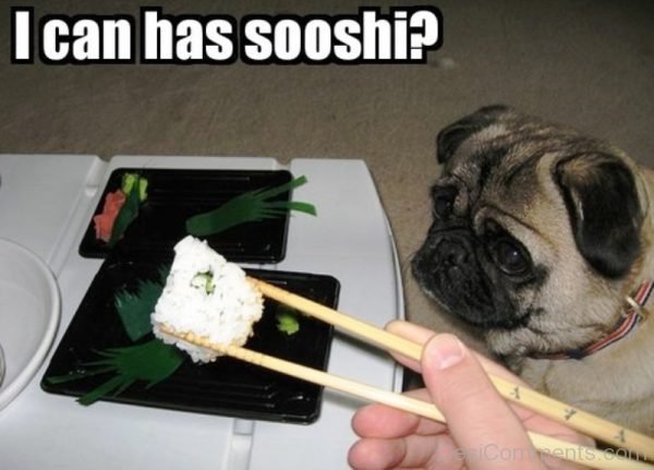 I Can Has Sooshi