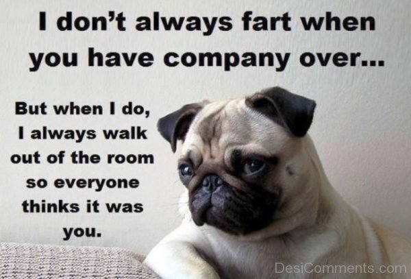 I Dont Always Fart